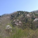 보성민박 이미지