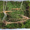 산속농장 이미지