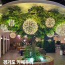 동탄대로1길 | 경기도 서울근교 화성 동탄 카페 가볼만한곳 추천 5곳