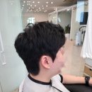 버디터6호 이미지