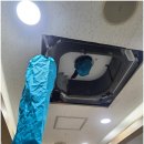 청춘청소 이미지