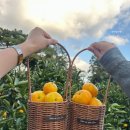 해광농장 이미지