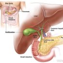 태양인한의원 이미지