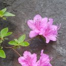 이 신조어 뜻을 아시나요? 이미지