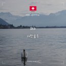 레만 | 몽트뢰 레만호수 산책 후기 - 무료 산책로와 프레디머큐리 동상