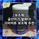 금산-29 | 금산이가 알파CD
