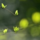 이*운 - 미추홀구 한나루로341번길 40 | 이*운