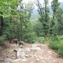 곰바위산장 이미지