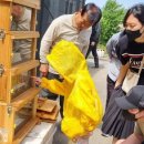 꿀사랑 양봉 이미지