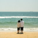 보령센터-003 이미지