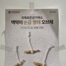 상패 현대서비스 | 청량리 금거래소 위치, 국제표준금거래소 청량리 금매입부터 돌반지까지 방문 후기