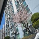 롯데하이마트(주) 압구정점 | 내일모레다 벌써