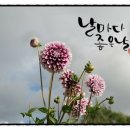 날마다좋은날 이미지