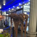 속초대패 이미지