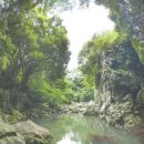 차문화(차와 문화) 이미지