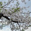 갈산공원(중간) 이미지