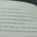 단니스