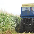 송산축산 이미지