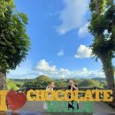 도배마을농장 | 보홀 자유여행 육상투어 반딧불 데이투어 뚝딱투어 후기