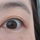 세명대구내안경 위드렌즈 이미지