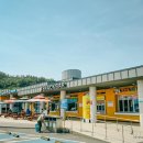 진도 소고기 대파국 이미지