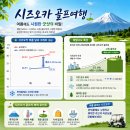 수림사우나 | 한여름 무더위 싹 날리는 리얼 시즈오카 골프여행 후기 ft.후지산뷰 명문 코스 올킬