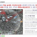 스테빌리움 티스토리