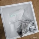 더주스 주식회사 | 클렌즈주스 정기배송 추천 l 제대로 갈아만든, 밀투고 랑이 클렌즈 주스