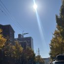 순천펜션702 | 남해 단풍은 배경이고 음식이 주인공 1편 (내산저수지,다랭이마을,카페톨,행복베이커리)