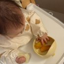 대덕전자 바른 노동조합 | BLW 초기 자기주도이유식 추천 원물 모음 | 8개월 아기 먹방 有