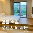 로맨스펜션 | 강릉 펜션 로맨스인강문 강릉 B동 후기 강문해변 숙소