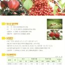 장수사과 - 순천시 오천2길 3-2 | 장수사과