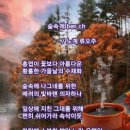 숲속에 ben ch / 노계 류오주 이미지