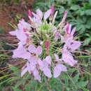 (유)장터마트 이미지