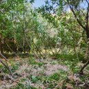 소소리농장 이미지