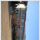 흥전초등학교 이미지