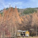 온빛약국 | 논산여행 당일치기로 다녀오기- 선샤인스튜디오(미스터션샤인 촬영지), 온빛자연휴양림
