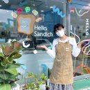 헬로샌디치 이미지