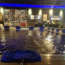 퐁퐁실내낚시터 이미지