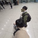 나고야스시덕 | [일본/나고야] 나고야 여행일기 Day1 (스시로, 미라이타워)