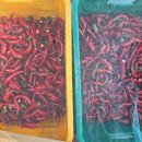 혜림농장 이미지