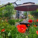 오롯하우스 이미지