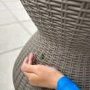 스테이실로 | 보령 감성 숙소, 수영장 독채 풀빌라 "스테이실로" 후기🌿