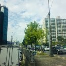 갓.Detailing 네이버블로그