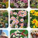 유미농장 이미지