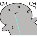 서울에스유외과의원 네이버블로그