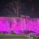 성주웨딩뷔페 이미지