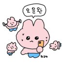 모모폴스튜디오 이미지