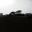 하모리-7 이미지