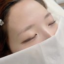 선릉 눈썹문신 은연뷰티 내돈내산 댕만족 이용후기